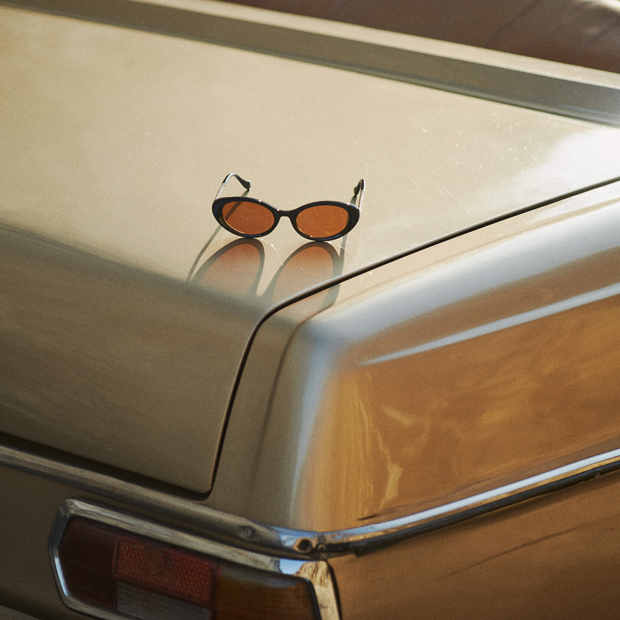 Glimmer Vintage Tortoise - Echelon