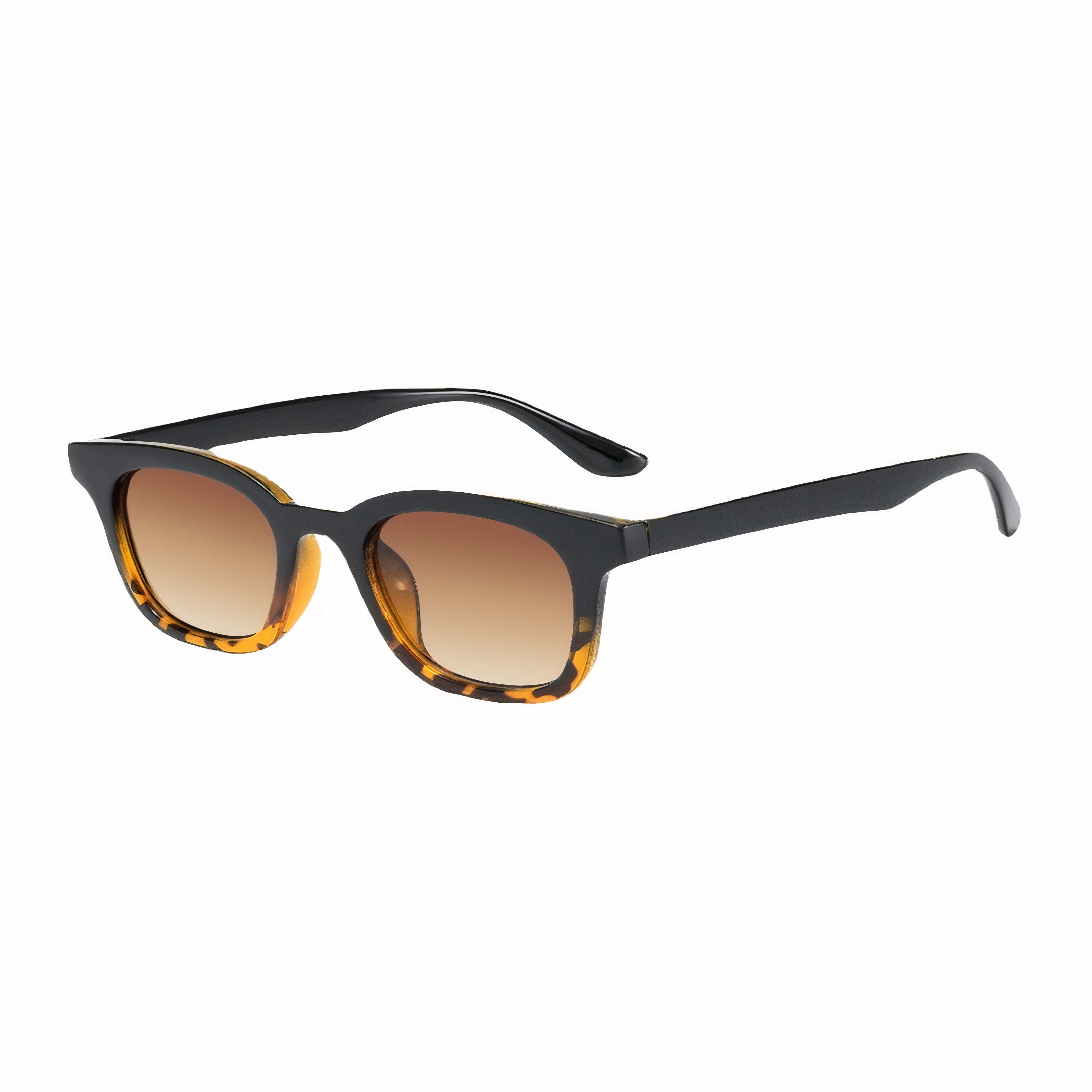 Starlight Gradient Tortoise - Brown Gradient