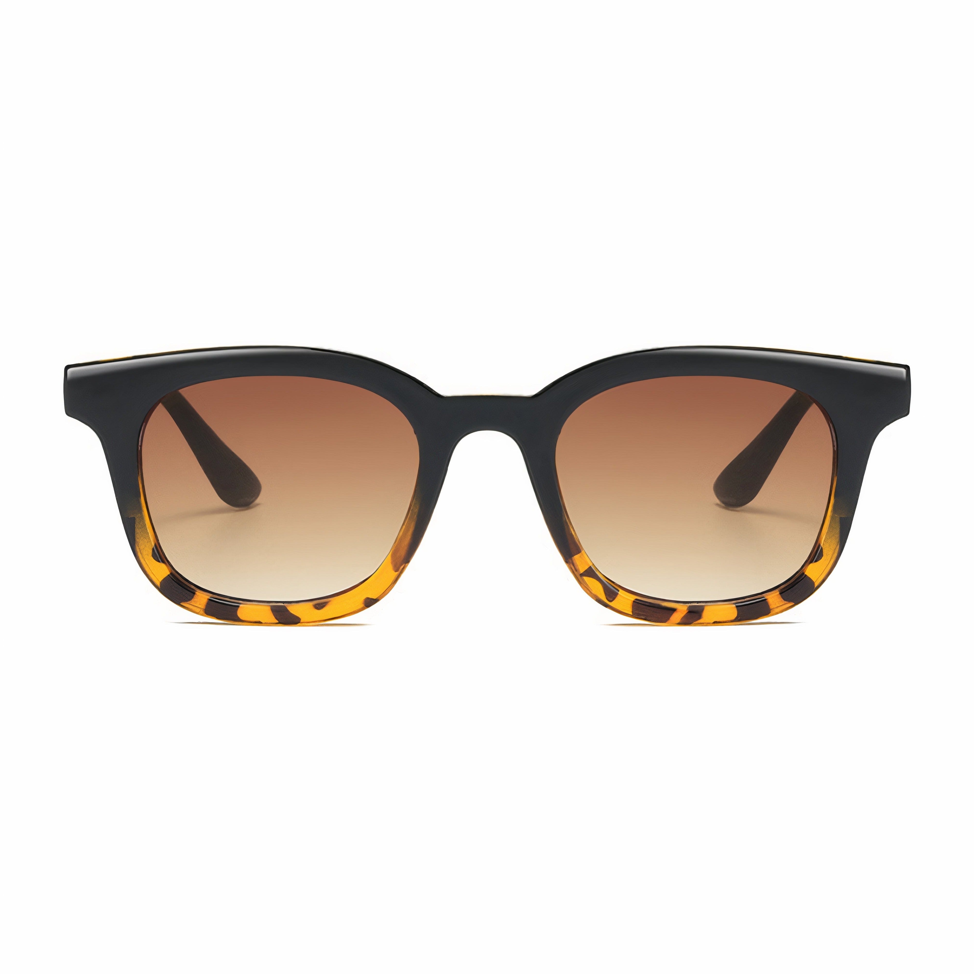 Starlight Gradient Tortoise - Brown Gradient